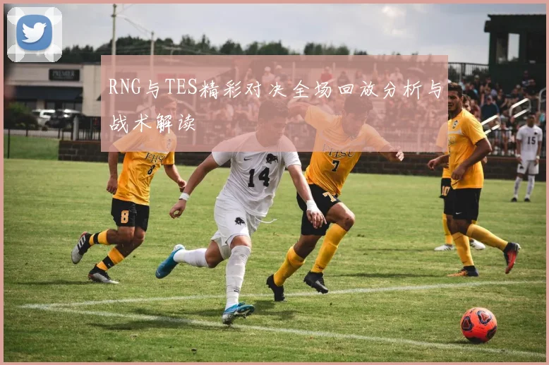 RNG与TES精彩对决全场回放分析与战术解读