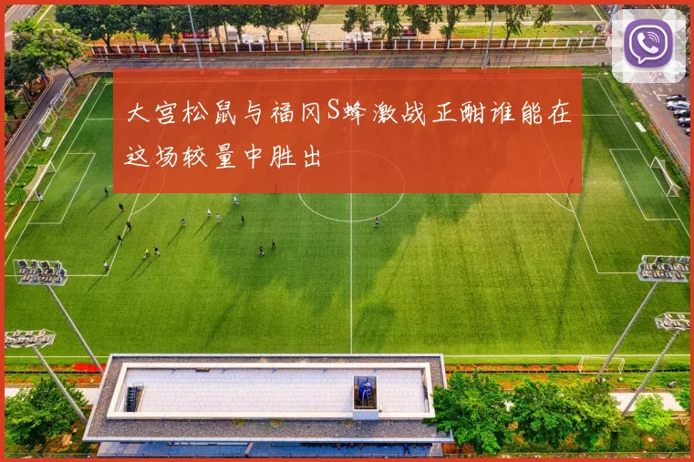 大宫松鼠与福冈S蜂激战正酣谁能在这场较量中胜出