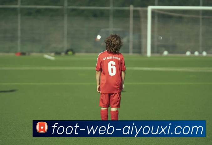 爱游戏发展历程